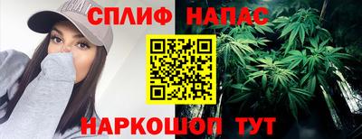 стаф Аша